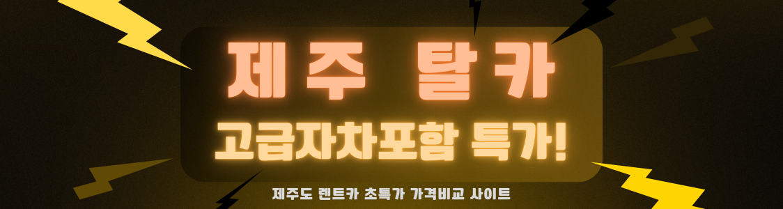탈카 고급자차포함 특가할인